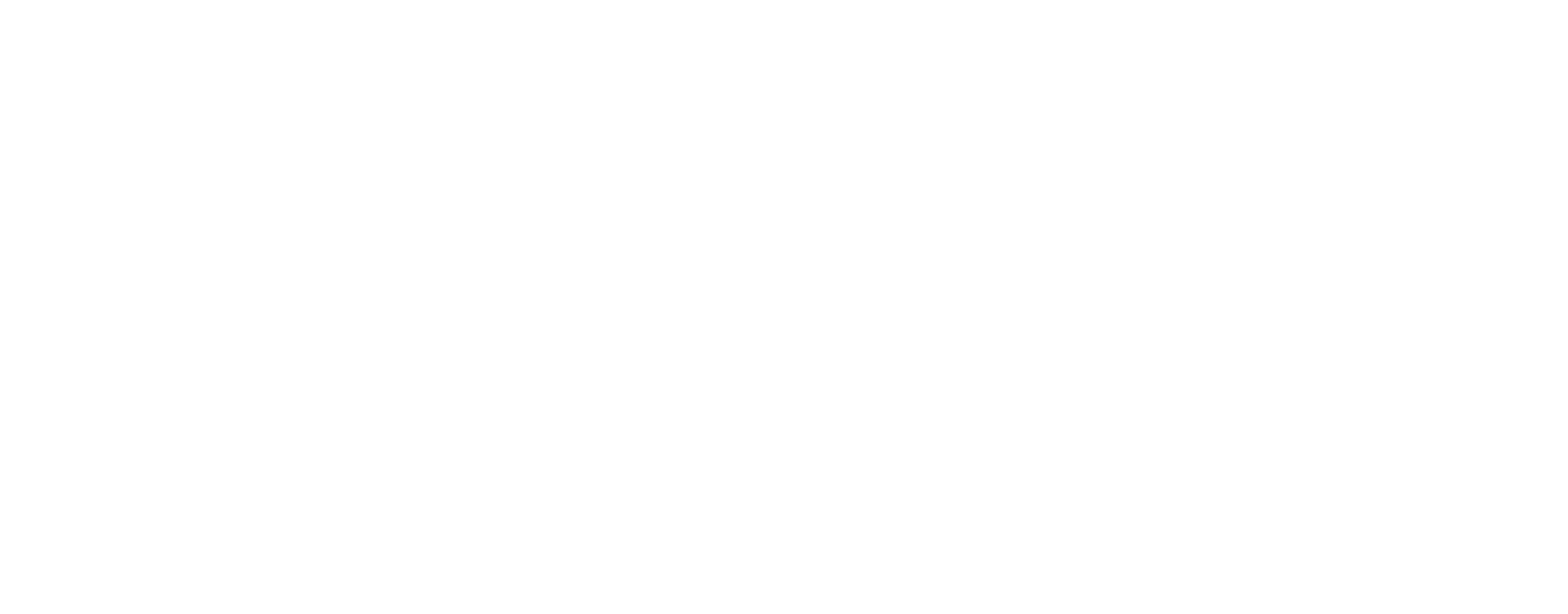Logo DESFILE FLAMENCO BENÉFICO